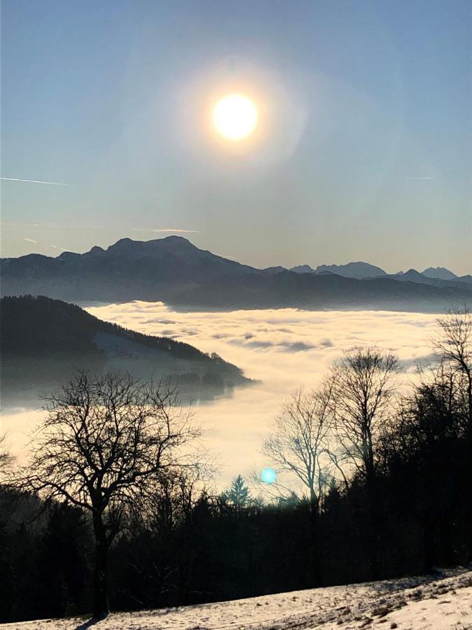 Fewo Atterseeperle - 80M2 Mit See- Und Gebirgsblick Steinbach am Attersee Exterior photo