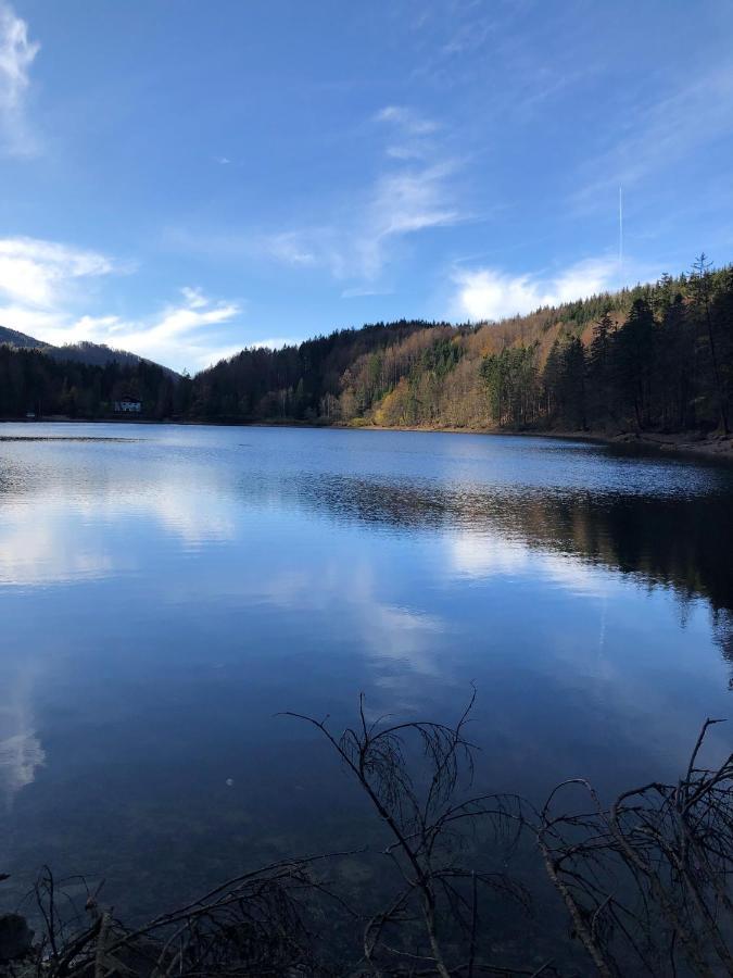 Fewo Atterseeperle - 80M2 Mit See- Und Gebirgsblick Steinbach am Attersee Exterior photo