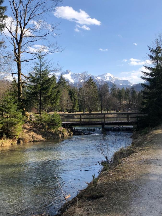 Fewo Atterseeperle - 80M2 Mit See- Und Gebirgsblick Steinbach am Attersee Exterior photo